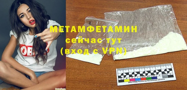 прущие грибы Инта
