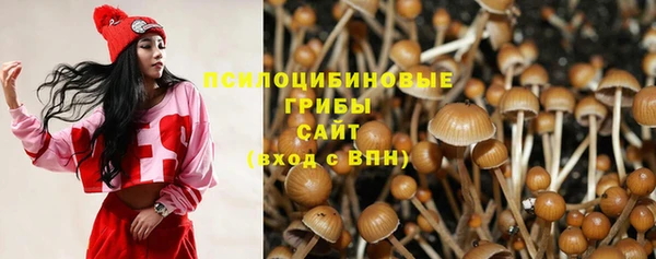 шишки Абдулино