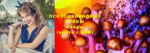 скорость Абаза