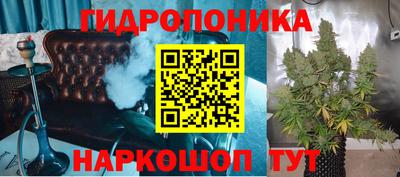 a pvp Обь