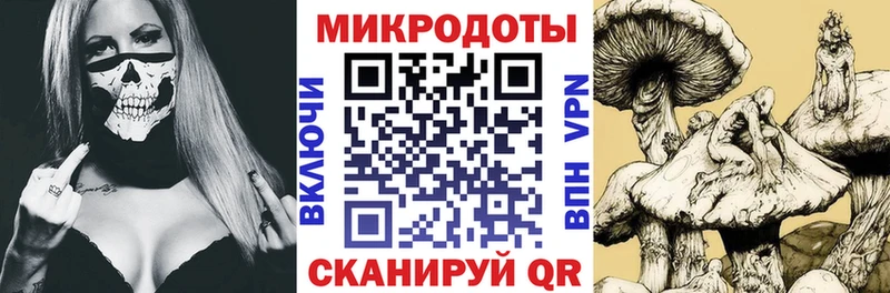 Галлюциногенные грибы Psilocybe  Тавда 