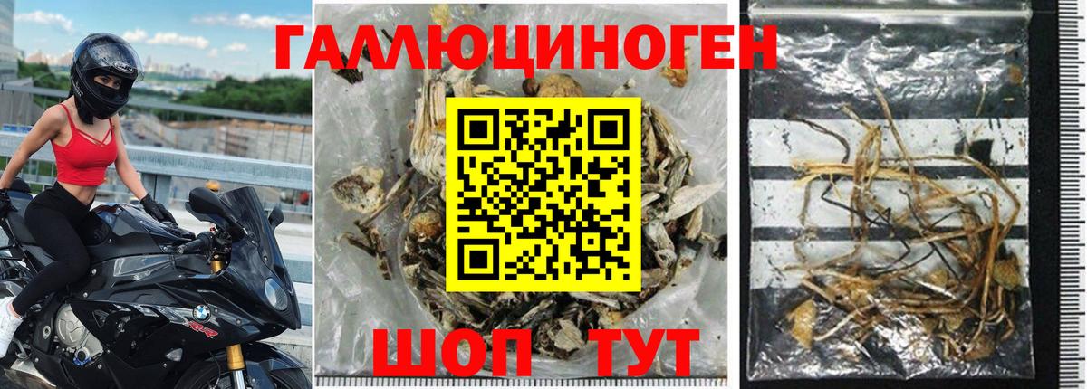 Галлюциногенные грибы прущие грибы Тавда