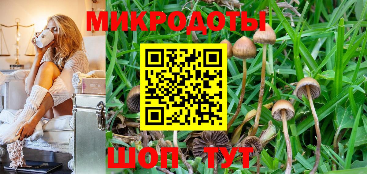 Тавда  Галлюциногенные грибы ЛСД  Вход с VPN  Псилоцибиновые грибы мухоморы 