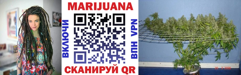 цена наркотик  omg как зайти  Канабис ГИДРОПОН  Тавда 